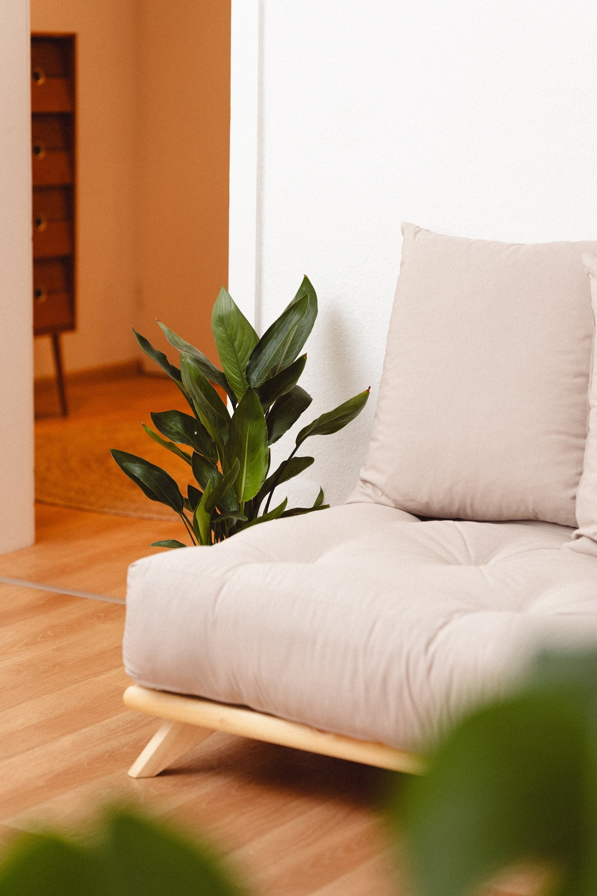 SENZA DAYBED CLEAR LACQUERED W. SENZA DAYBED MATTRESS SET BROWN